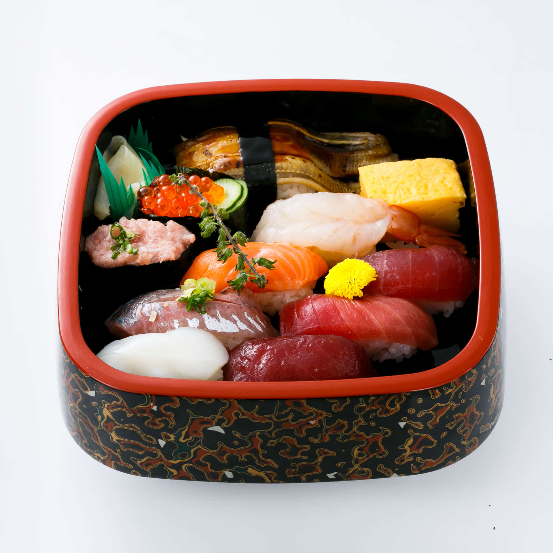 _MG_6779_マグロ特盛11貫